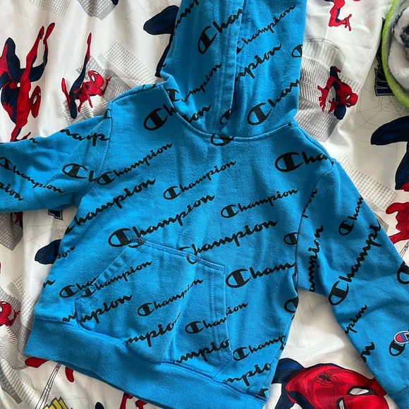 Champion hoodie. 3t - Picture 1 of 2